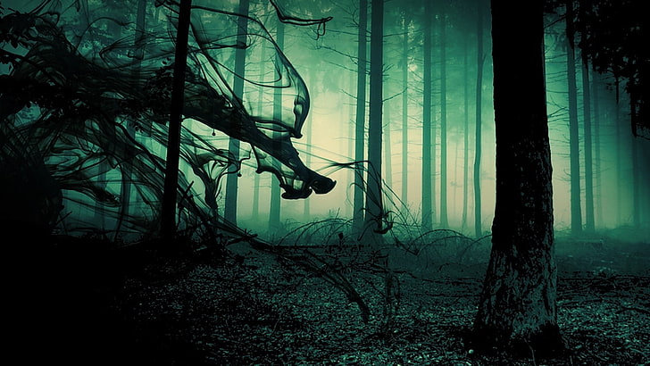 Dark Creepywoods, nature, no people, fog, land Free HD Wallpaper