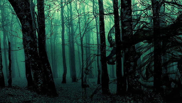 Dark Forest Biome, woodland, mystical, forest, nature Free HD Wallpaper