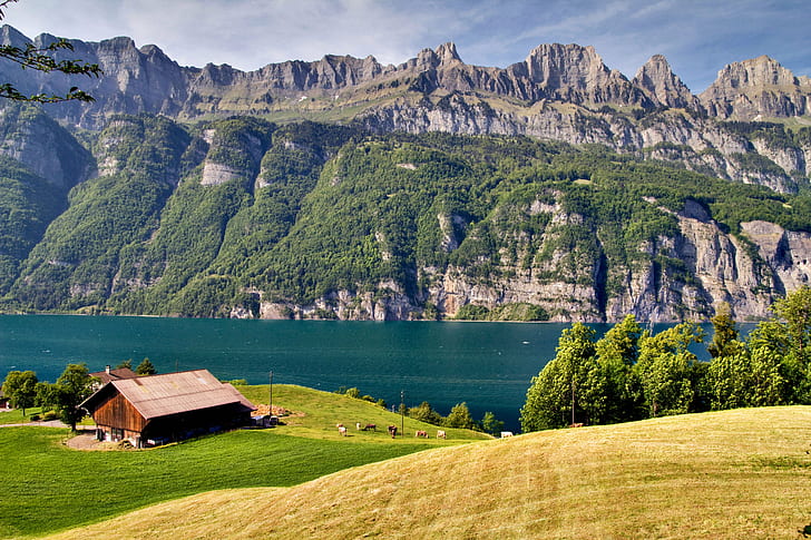 Farmhouse Landscape, warm, interlaken, switzerland, green  yellow Free HD Wallpaper