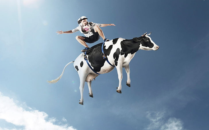 Flying Cow in Tornado, cloud  sky, mammal, one person, excitement Free HD Wallpaper