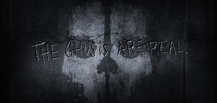 ghost, call of duty, arepeal, call of duty ghosts Free HD Wallpaper