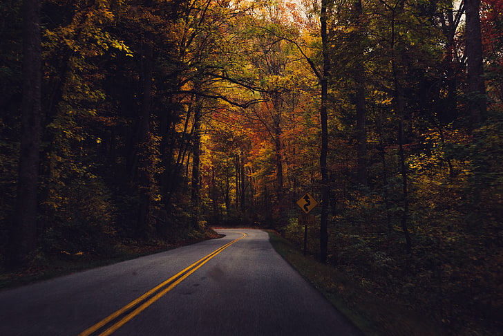 green color, diminishing perspective, beauty in nature, red