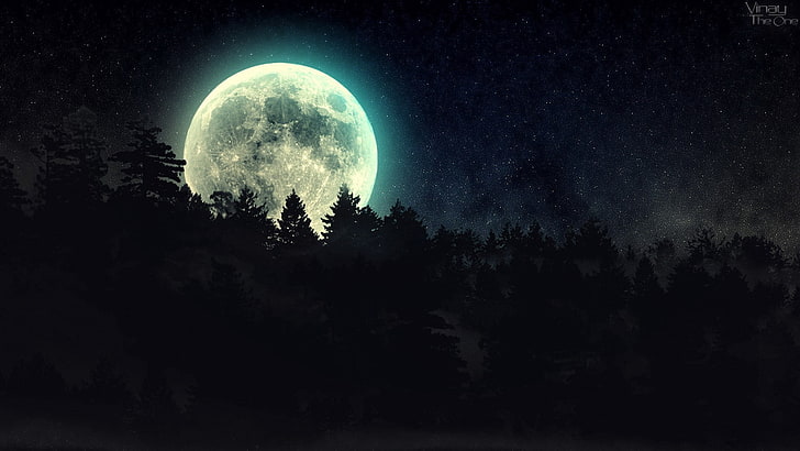 Halloween Full Moon, tree, moonlight, nature, scenics  nature Free HD Wallpaper