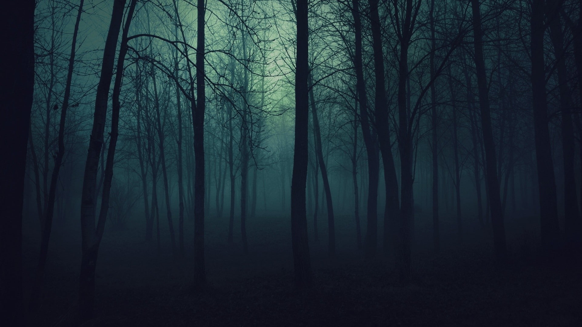 nature, art, Art, mist