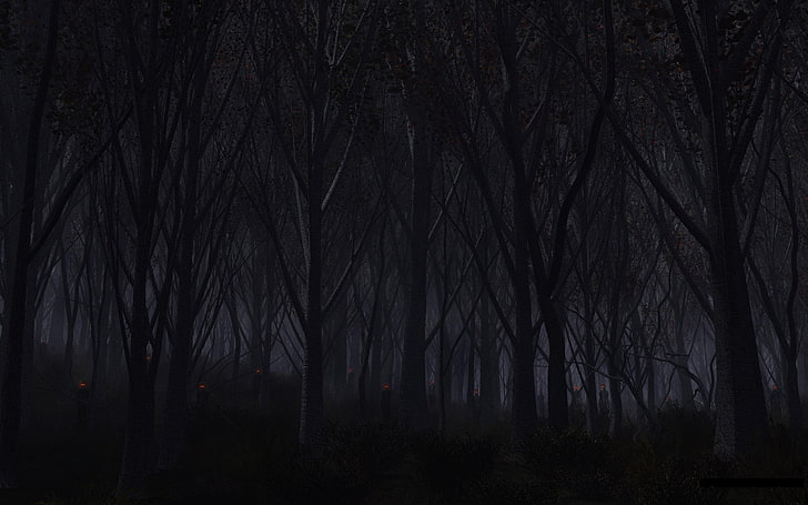 Nightmare, trees, dark, evil, night Free HD Wallpaper