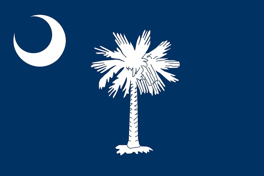 Official Islamic Flag, carolina, night, cut out, flag of south carolina