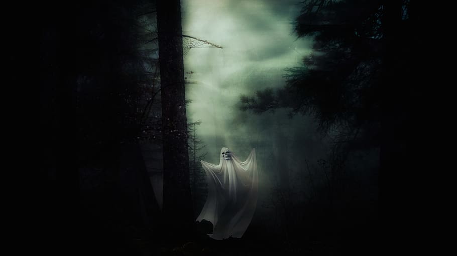 Real Ghost, fear, horror, mystical, silhouette Free HD Wallpaper