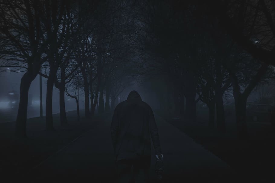 Roblox Scary Forest, black, fog, direction, outdoors Free HD Wallpaper