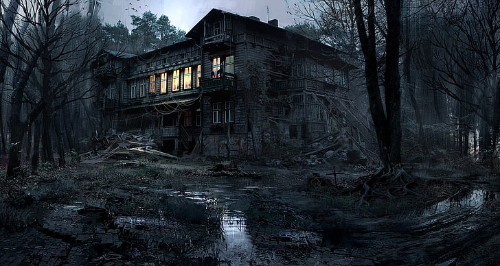 Scary House in Woods, photoshop, built structure, old, outdoors