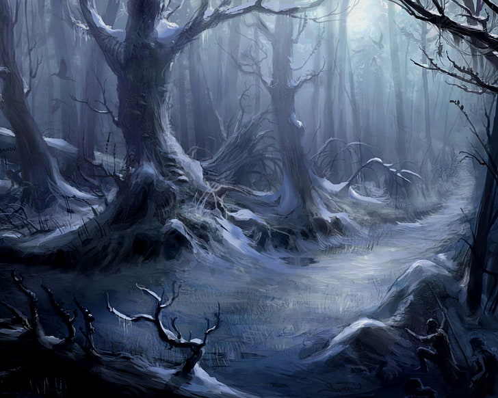 Scary Winter Forest, nature, tranquility, power in nature, land Free HD Wallpaper