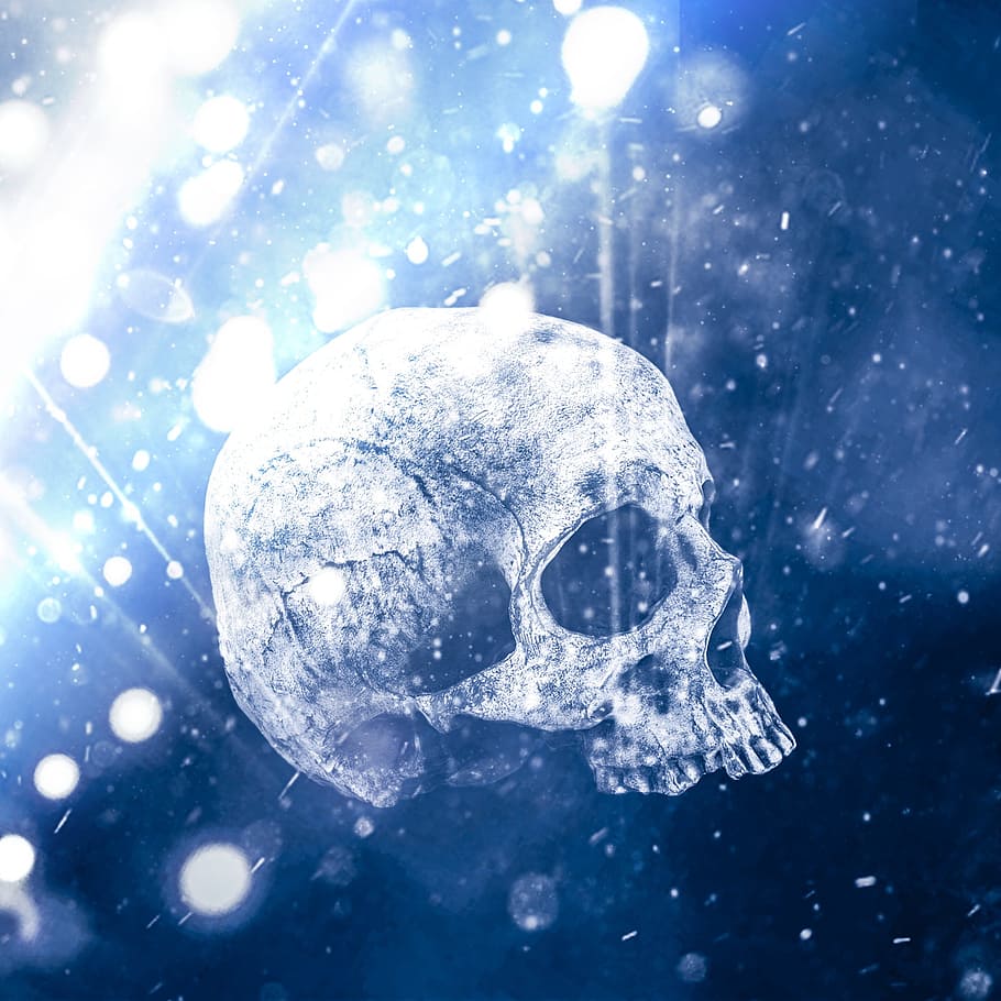 Skull, brightly lit, snow, stream, freshness Free HD Wallpaper