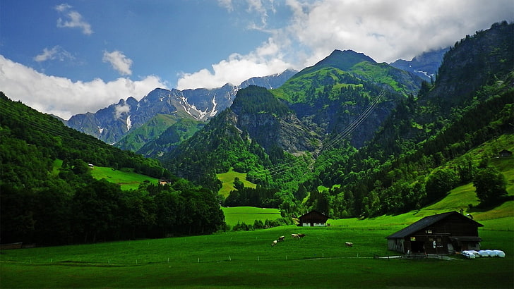 Swiss Alps HD, no people, mountain peak, tree, cloud  sky Free HD Wallpaper