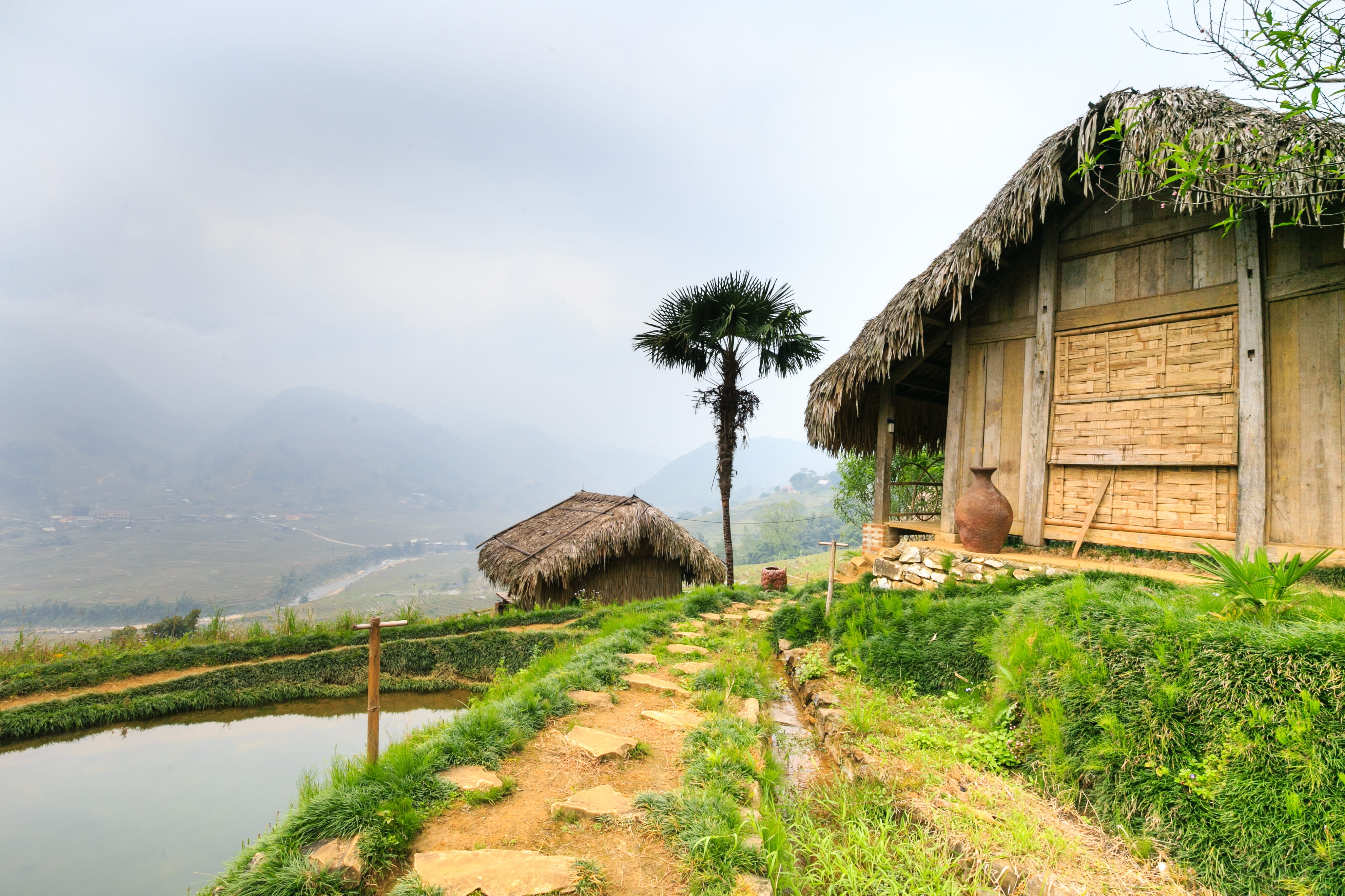 Village Chicken Rearing, cottage, gardening, agricultural land, the hill