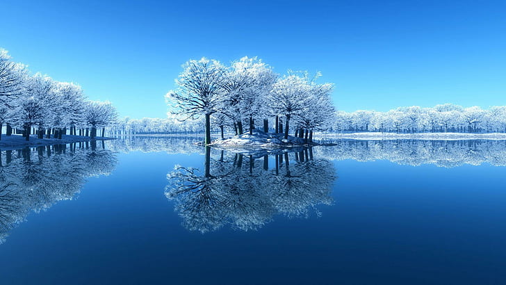 White Tree Snow, water, winter, clean, desktop Free HD Wallpaper