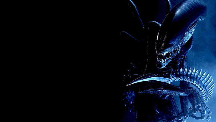 Alien vs Predator HD, copy space, alien movie, representation, alien