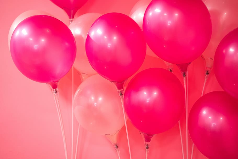 Bunch of Pink Balloons, fragility, girl, feminine, helium Free HD Wallpaper