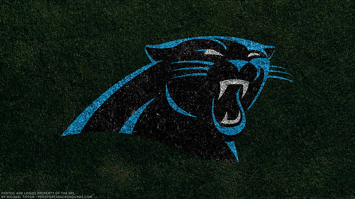 Carolina Panthers Black Logo, logo, carolina panthers, football, nfl Free HD Wallpaper