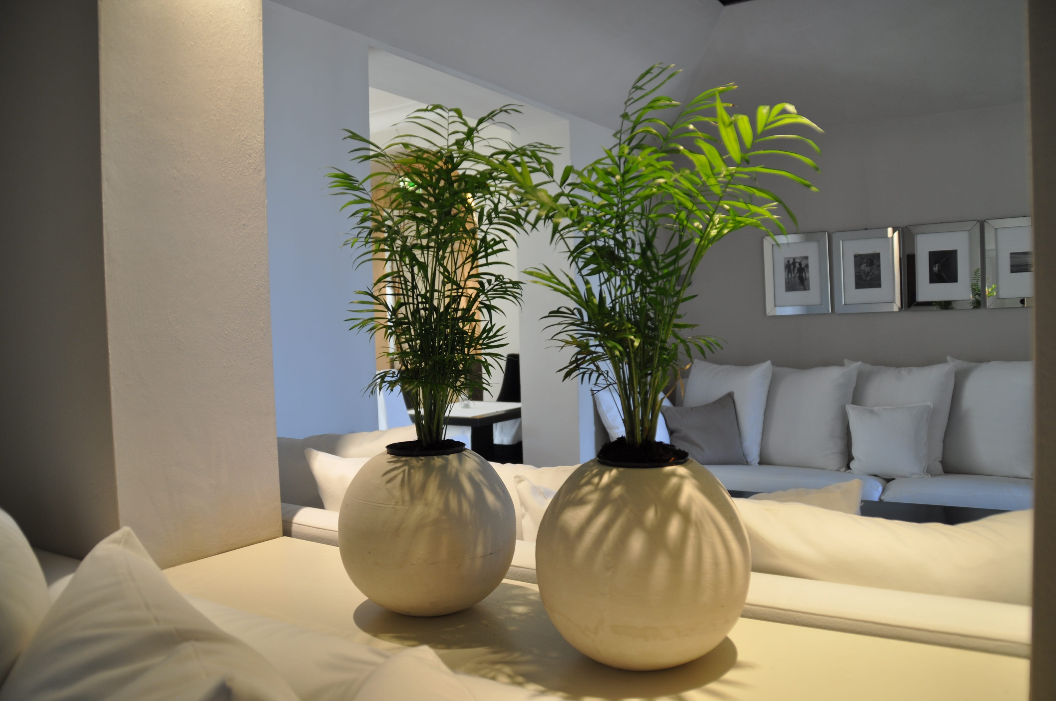 IKEA Accent Chairs Living Room, home showcase interior, hotel, home, apartment