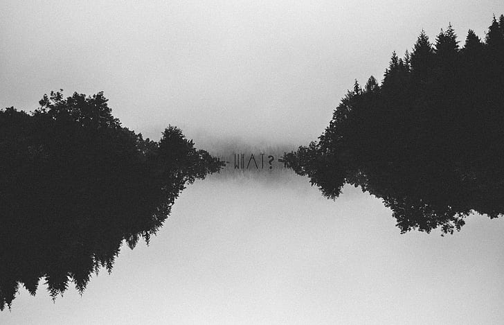 Lake Silhouette, forest, minimalism, grain, typography