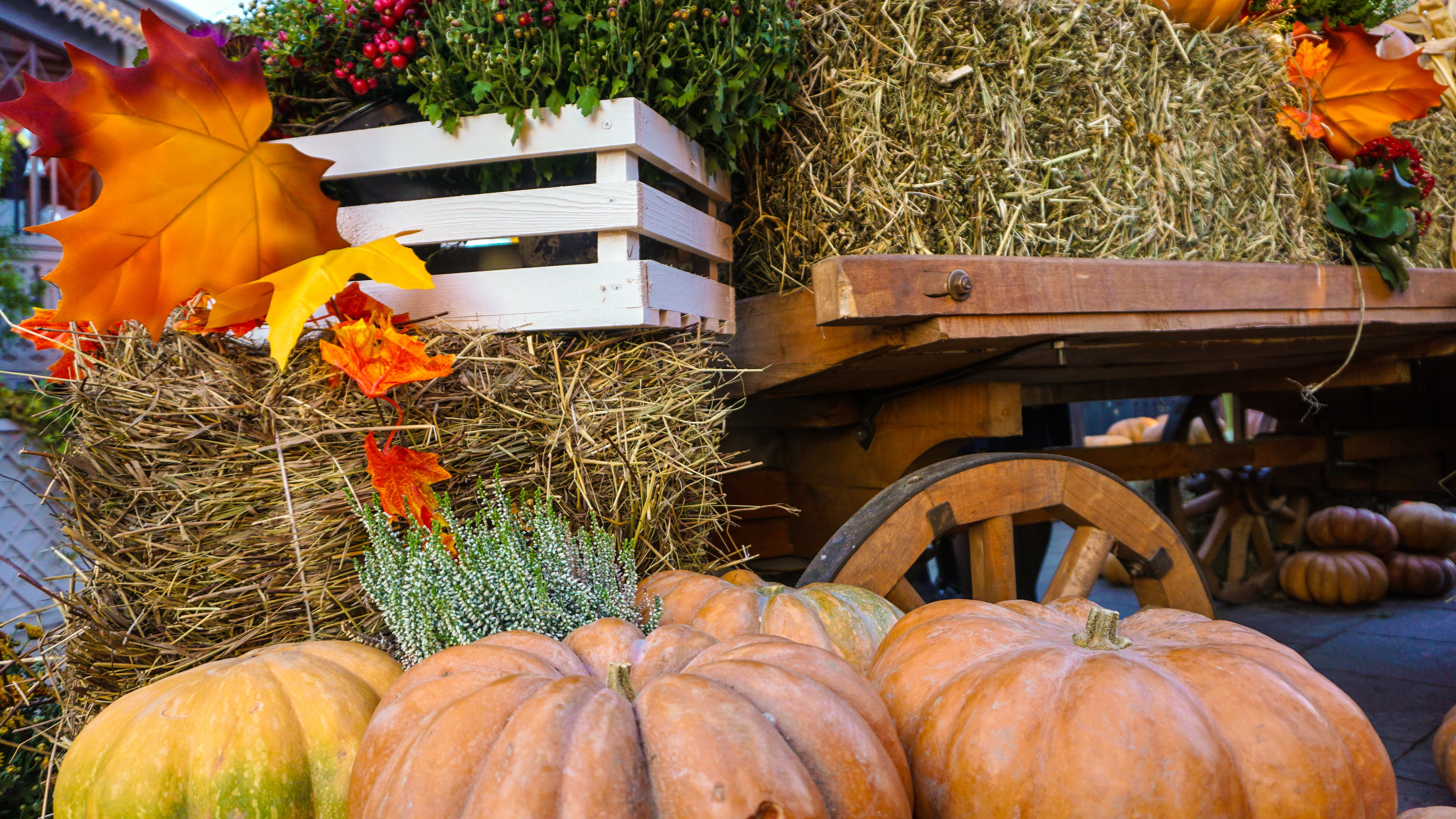 market, november, haloween, outdoors