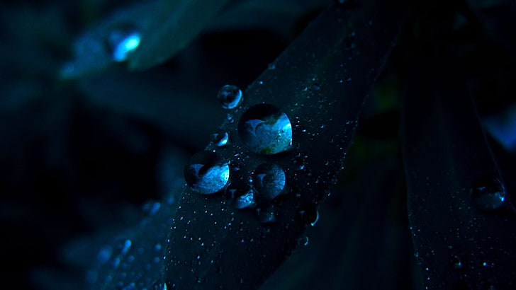 Rain Water Droplets, underwater, texture, selective focus, color Free HD Wallpaper