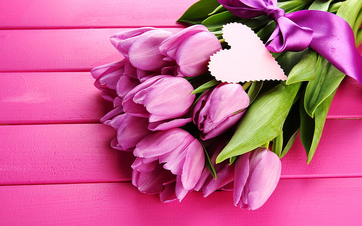 roses, pink, tulips, pink roses Free HD Wallpaper