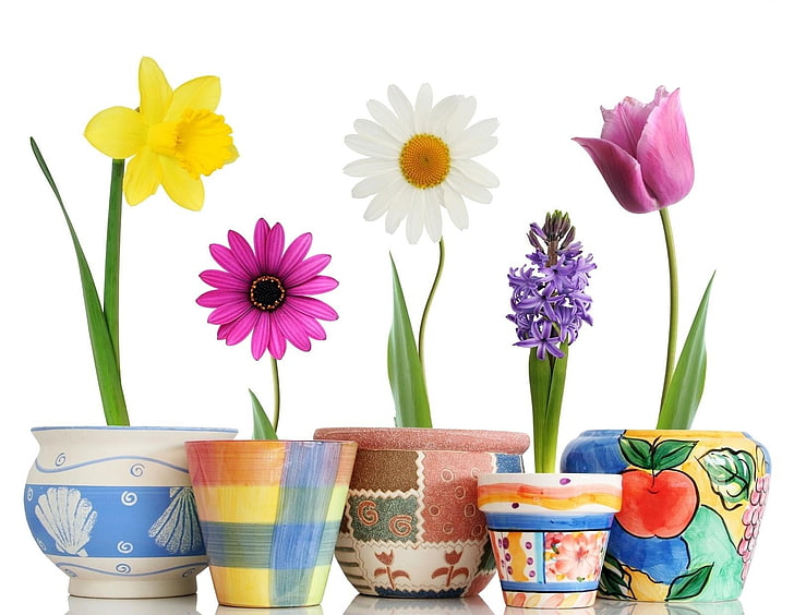 Spring Flowers Bouquet, flower pot, nature, plant, bunch of flowers Free HD Wallpaper