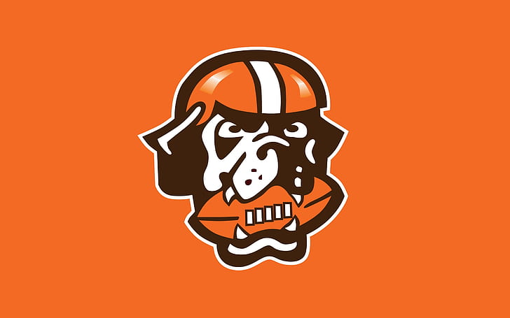 Steelers-Browns Meme, football, sports, helmet, Helmet Free HD Wallpaper