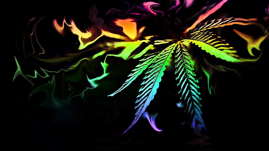 Weed Art Painting, growth, plant, pot, black background Free HD Wallpaper