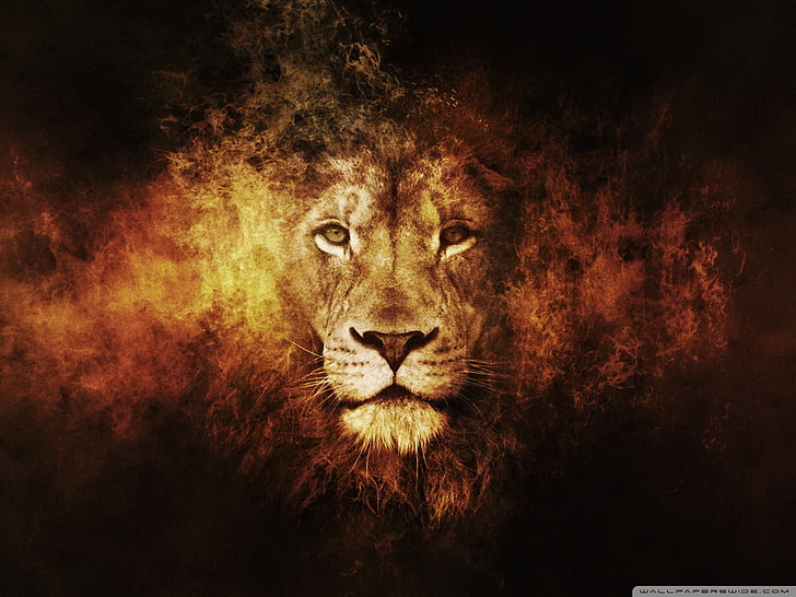 Abstract Lion Art, black background, artwork, studio shot, animal body part Free HD Wallpaper