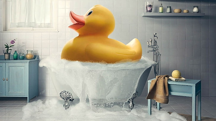 Assorted Rubber Ducks, home interior, indoors, kitchen, household equipment Free HD Wallpaper