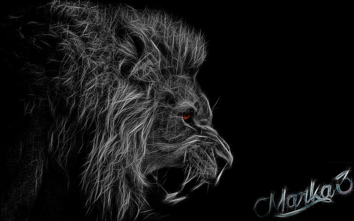 Awesome Black and White Lion, studio shot, animal wildlife, domestic, bird Free HD Wallpaper