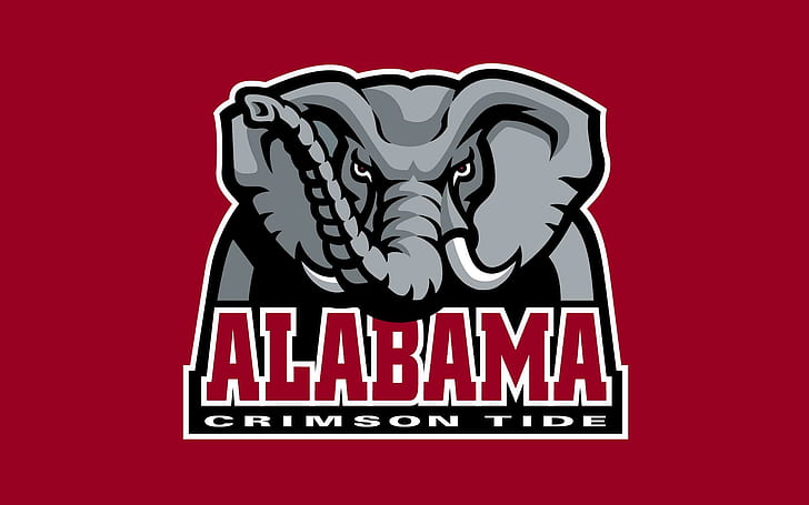 Bama Football Logo, soccer,, alabama, football, alabama Free HD Wallpaper