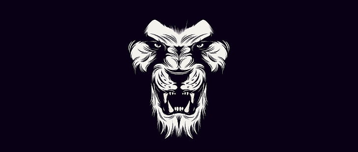 black, white, lion Free HD Wallpaper