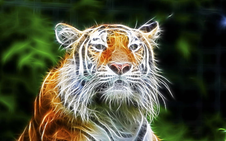 Cool Tiger, cool, onlooker, sparkle, art Free HD Wallpaper