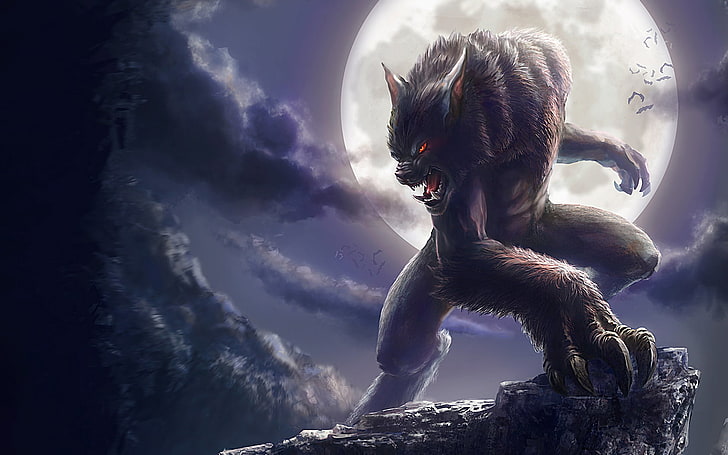 Cute Anime Werewolf, low angle view, vertebrate, animal wildlife, moon Free HD Wallpaper