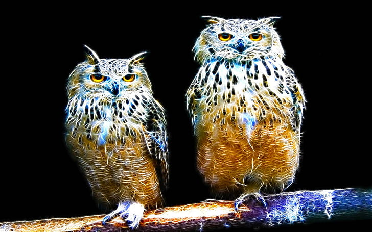 Cute Winter Owl, eagle owl, twin, owl, eagle Free HD Wallpaper