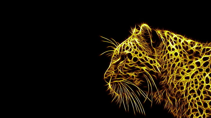 Fractal HD, pattern, animal, studio shot, light  natural phenomenon Free HD Wallpaper