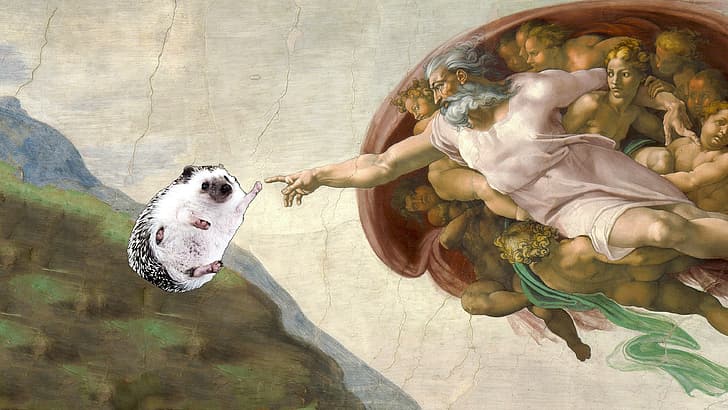 humor, michelangelo, the creation of adam, Adam, Free HD Wallpaper