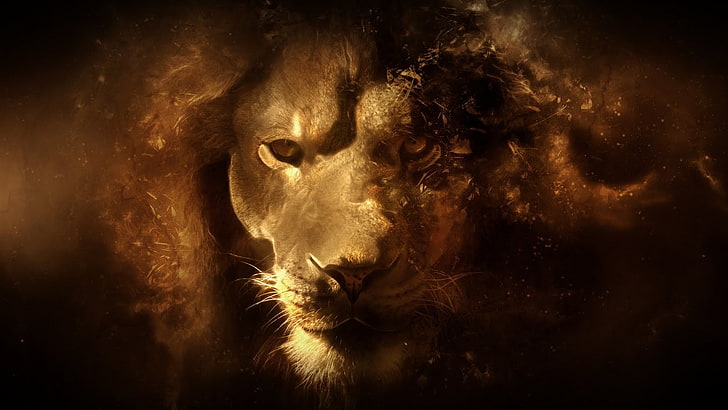 Lion Painting, carnivora, animal head, portrait, one animal Free HD Wallpaper