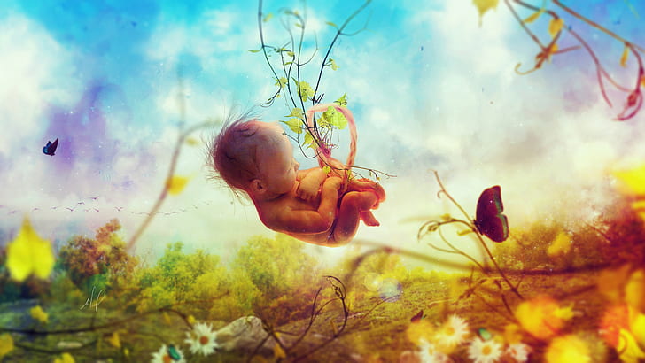 Love Creation, creation, womb, baby Free HD Wallpaper