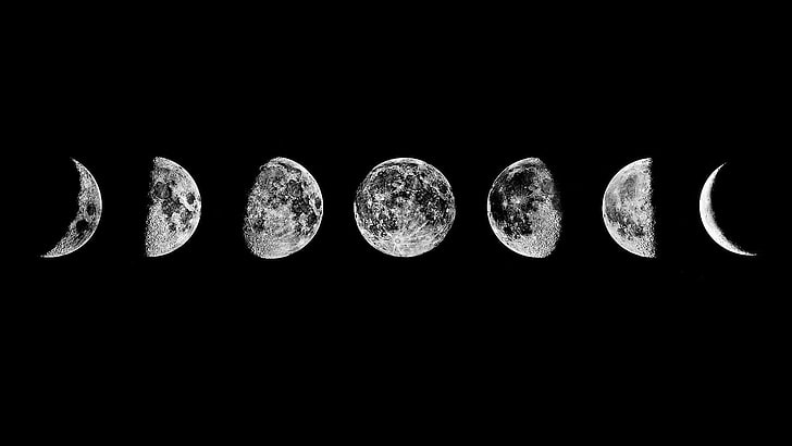 Lunar Cycle Moon Phases, moonlight, side by side, low angle view, black background Free HD Wallpaper