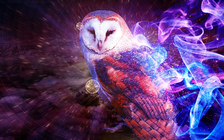 Magic Owl Art, owl, animals, sparkling Free HD Wallpaper