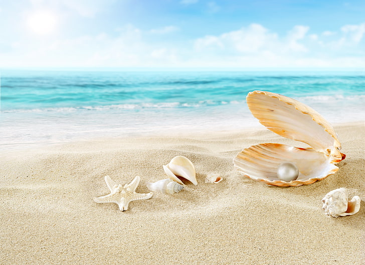 Starfish Body Parts, sky, relaxation, day, travel destinations Free HD Wallpaper