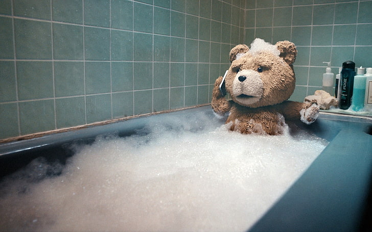 Ted Movie, tile, toy, bathtub, representation Free HD Wallpaper