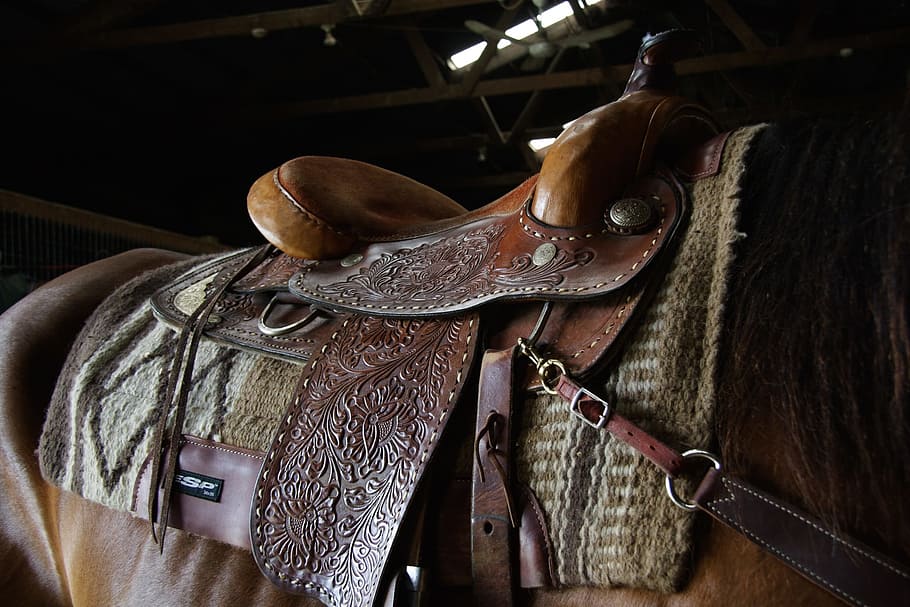 Anatomy of Horse Saddle Western, livestock, animal, outdoors, cowboy