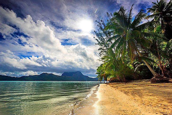 Beach Sun Palm Tree, bora bora, plant, tropical climate, scenics  nature Free HD Wallpaper