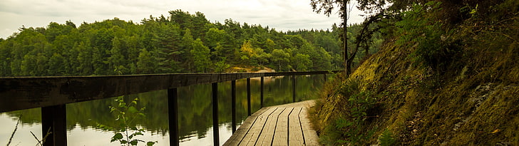 Dual Monitor 3840X1080, pine tree, tranquility, forest, scenics  nature Free HD Wallpaper