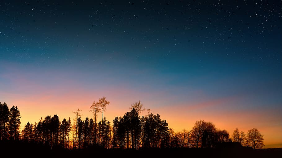 Forest Moon Night Sky, sky, nature, tranquil scene, hd wallpaper Free HD Wallpaper