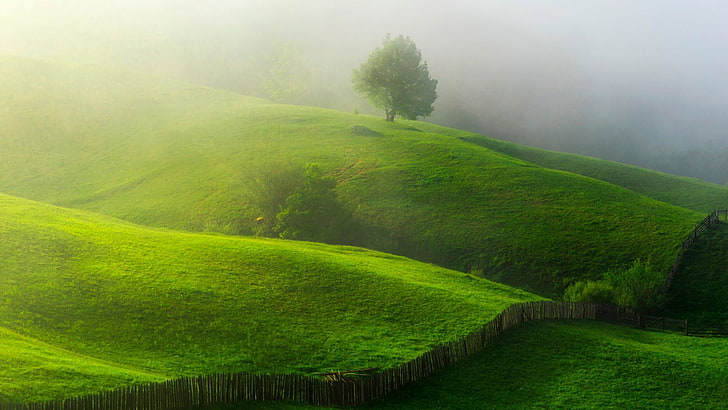 Grass Hill Landscape, rolling landscape, tranquil scene, tranquility, grass Free HD Wallpaper